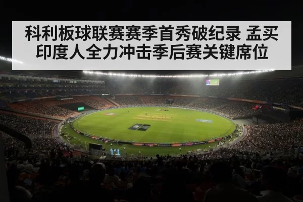 cricket stadium crowd