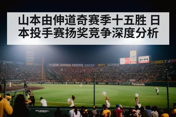baseball stadium night